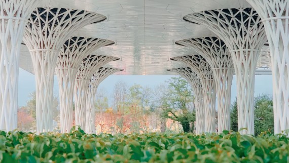 Langs het spectaculaire gebouw is een indrukwekkende verticale tuin aangelegd van bijna 300 m² (© Alek Małchowski)