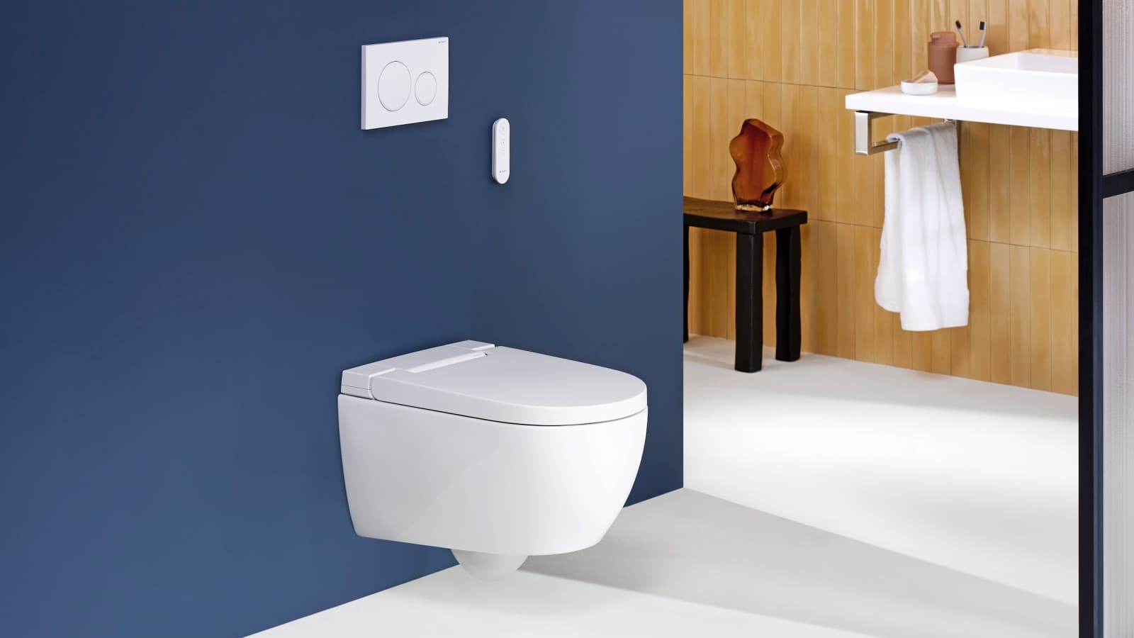 Geberit AquaClean Alba Geberit AquaClean Alba